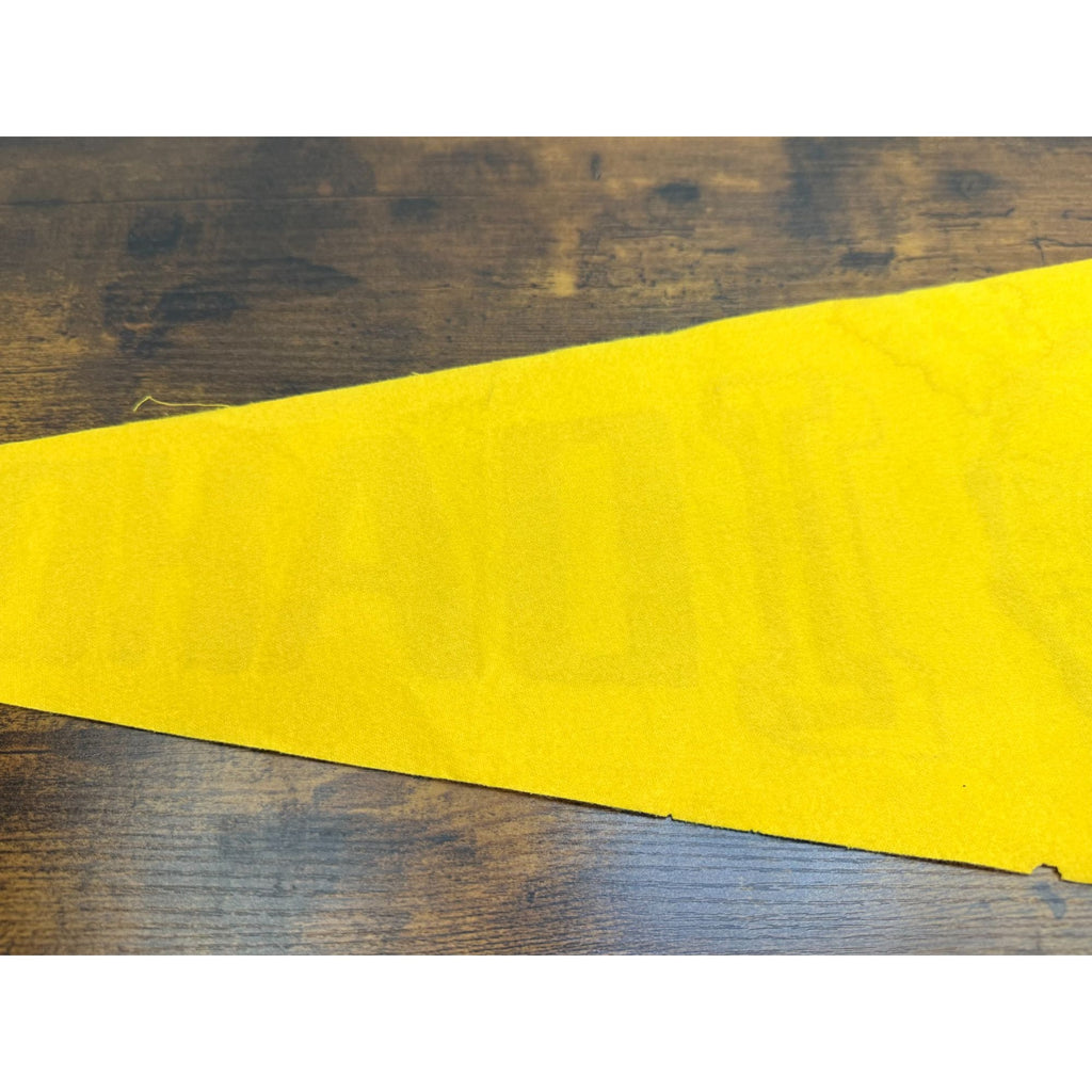 Vintage University Of Idaho 1889 Felt Pennant Banner College Memorabilia