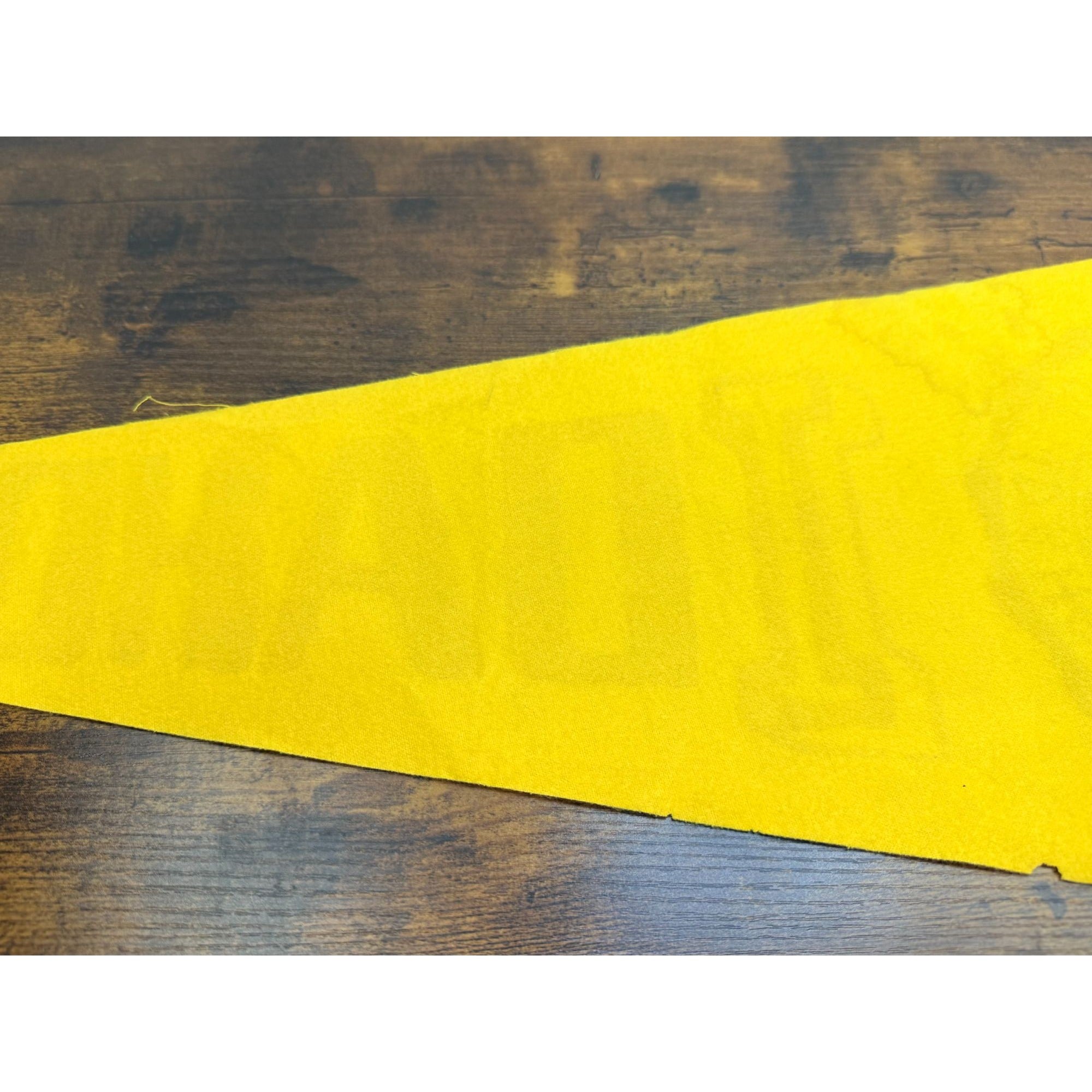 Vintage University Of Idaho 1889 Felt Pennant Banner College Memorabilia