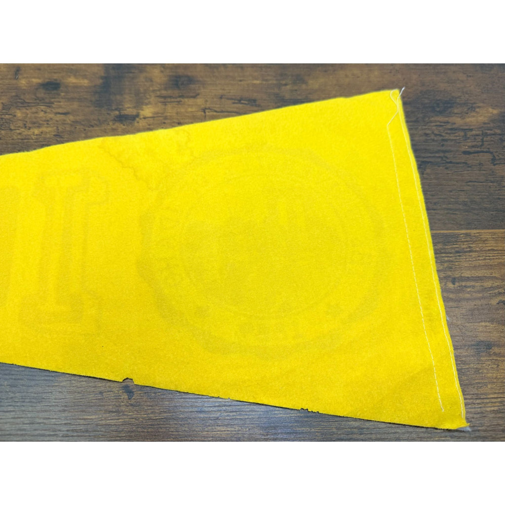 Vintage University Of Idaho 1889 Felt Pennant Banner College Memorabilia