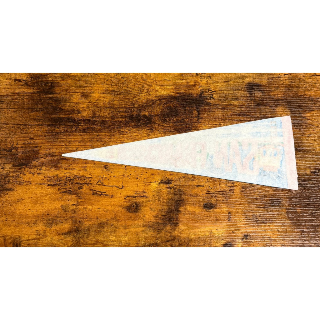 Vintage San Francisco, California pennant