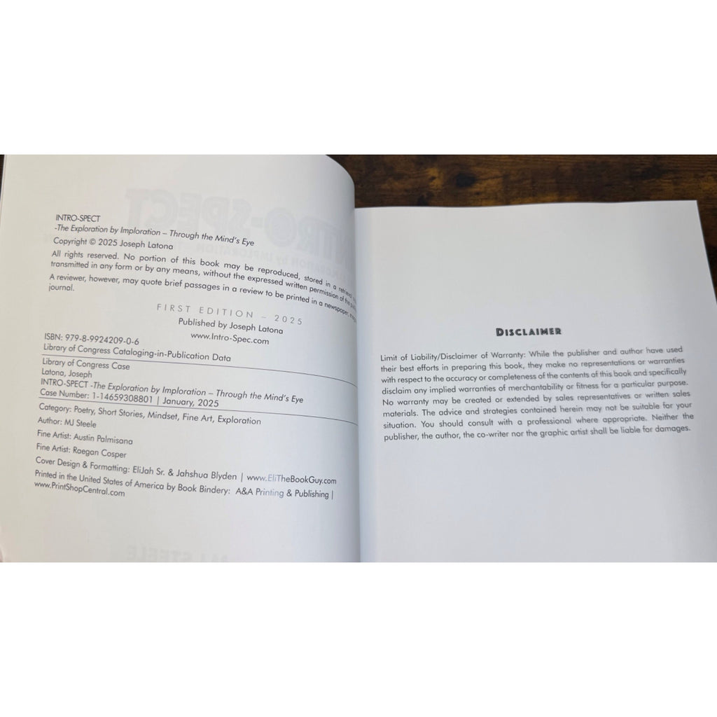 Intro-Spect By MJ Steele First Edition Poetry & Art Book