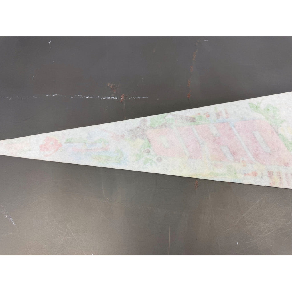 Vintage Ohio “The Buckeye State” pennant