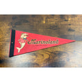 Vintage Marineland Pennant Niagara Falls Canada Dolphin Felt Banner 11.5 inches