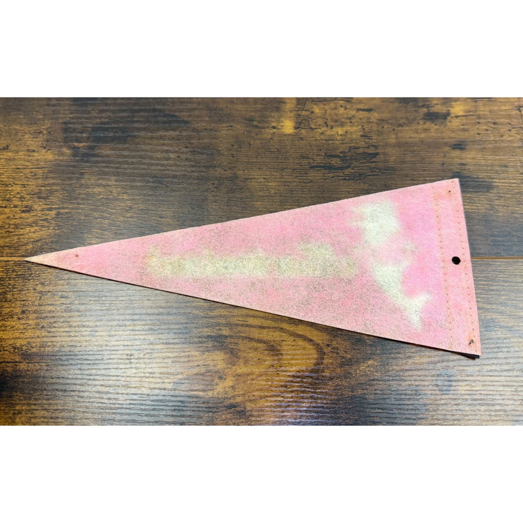 Vintage Marineland Pennant Niagara Falls Canada Dolphin Felt Banner 11.5 inches
