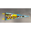 Vintage Kentucky state pennant