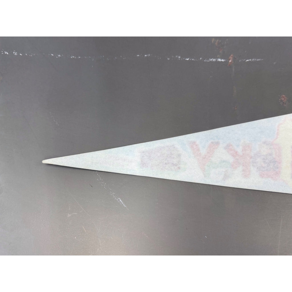 Vintage Kentucky state pennant