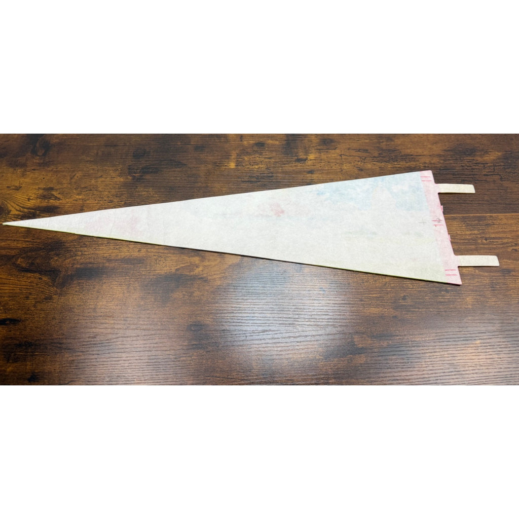 Vintage Sacramento California Felt Pennant Landmarks & State Capitol 25.5 inches