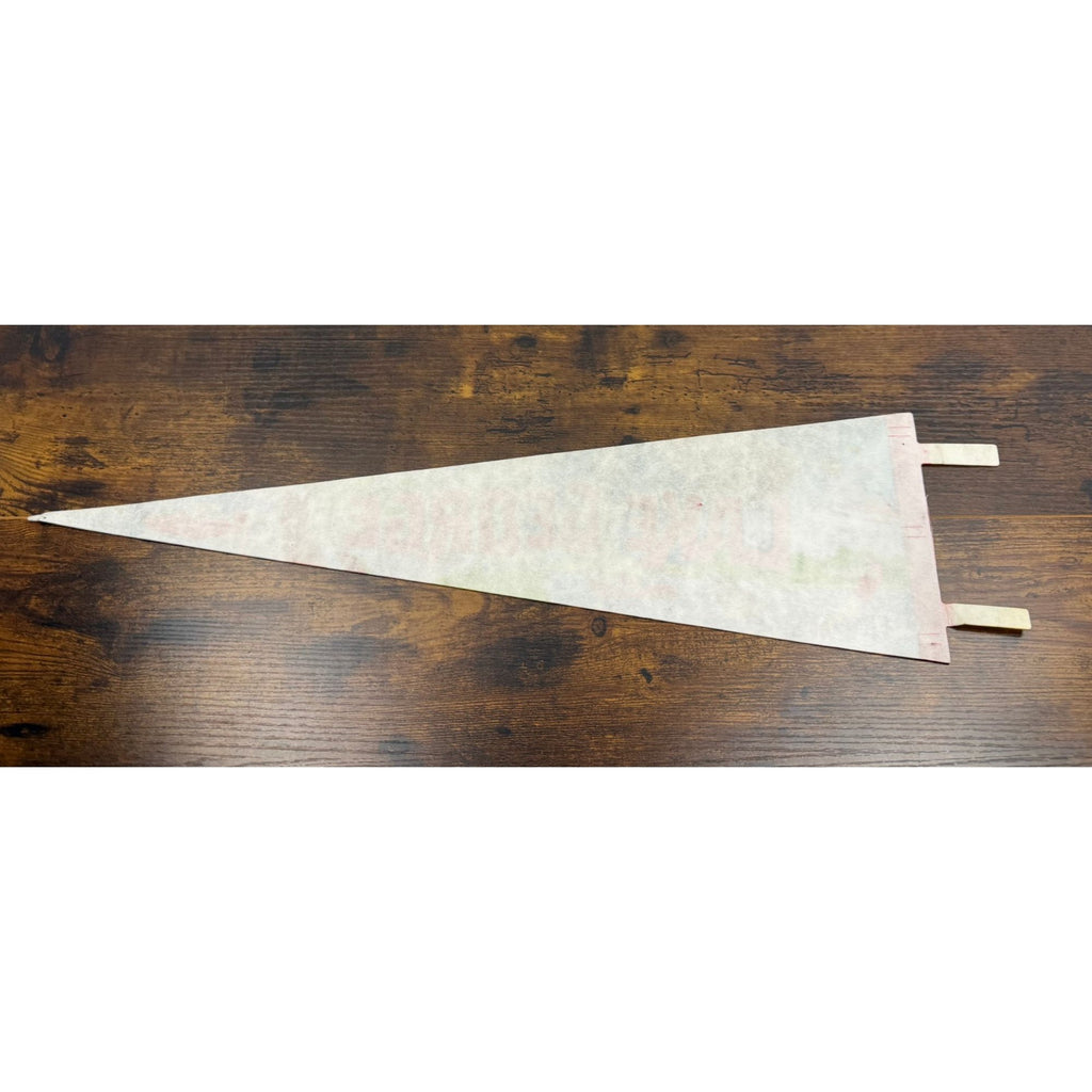Vintage Lake George NY Vintage Felt Pennant 25 inches