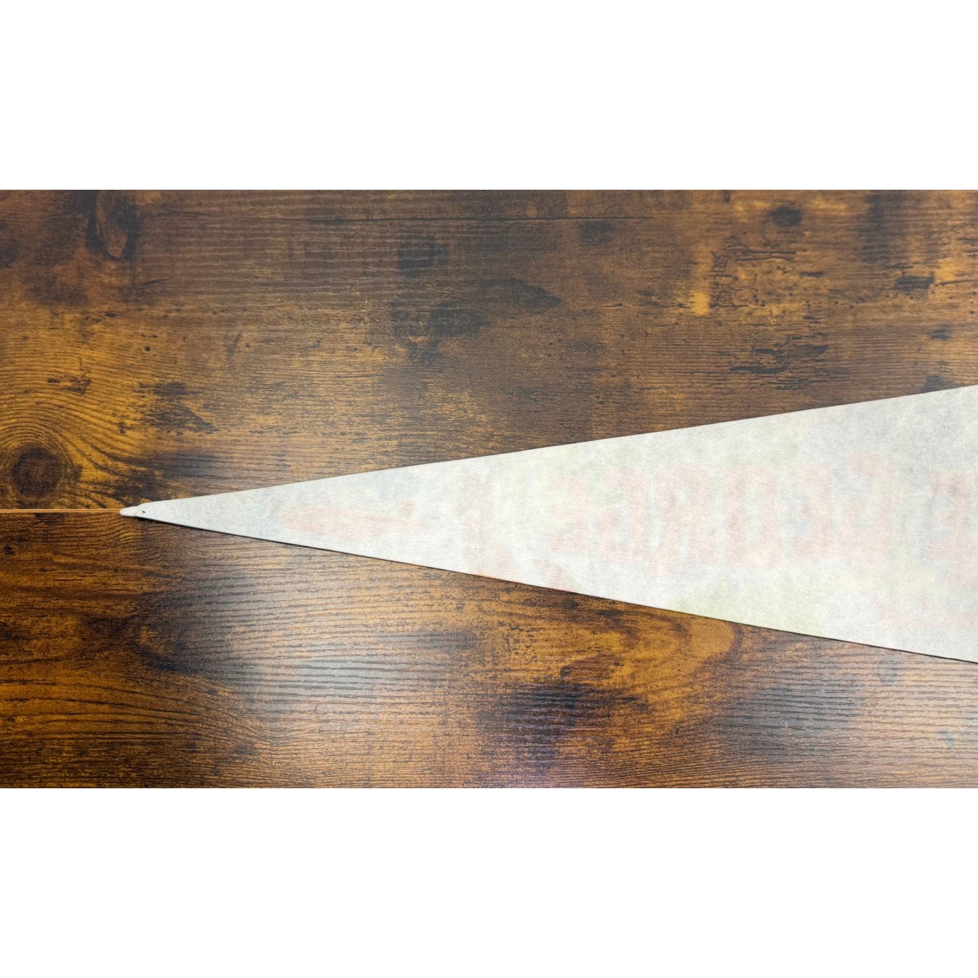 Vintage Lake George NY Vintage Felt Pennant 25 inches