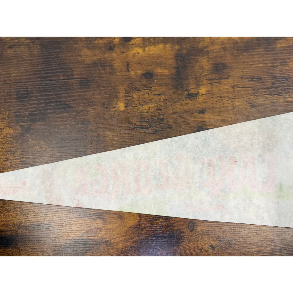 Vintage Lake George NY Vintage Felt Pennant 25 inches