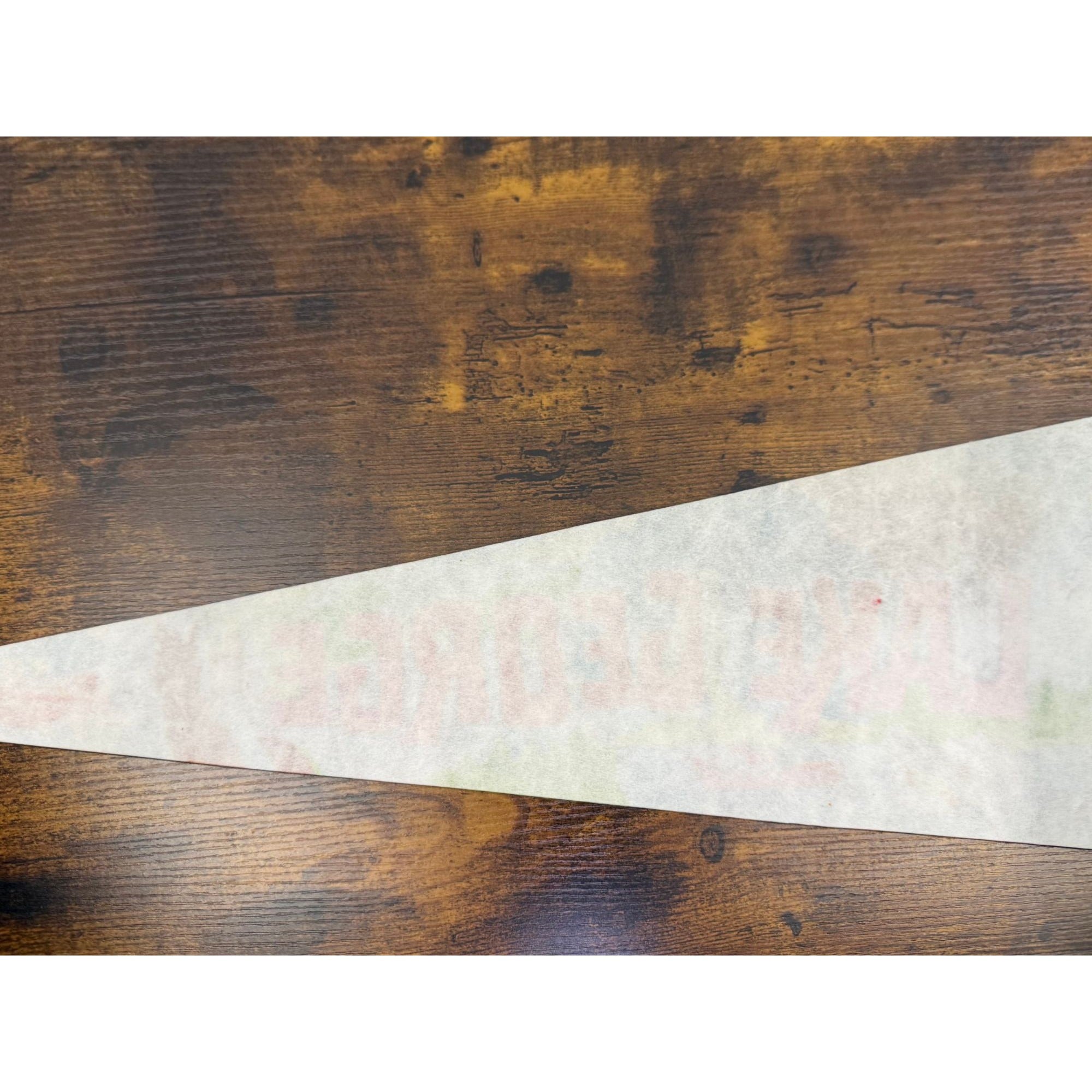 Vintage Lake George NY Vintage Felt Pennant 25 inches