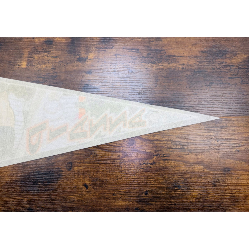 Mike Piazza New York Mets MLB 2000 Vintage Felt Pennant Sports 29.5 inches