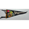 vintage 1968 Washington, D.C. pennant black