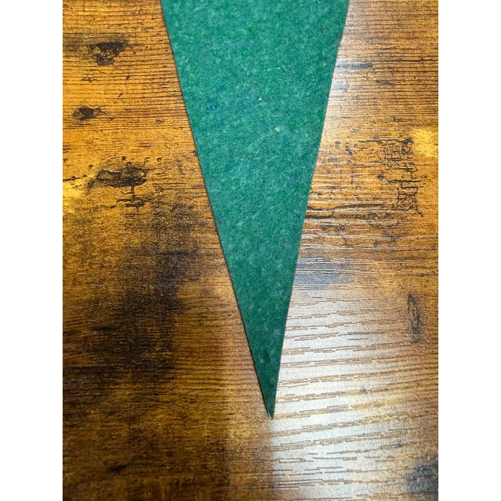 Vintage Silver Springs, Fla mini pennant