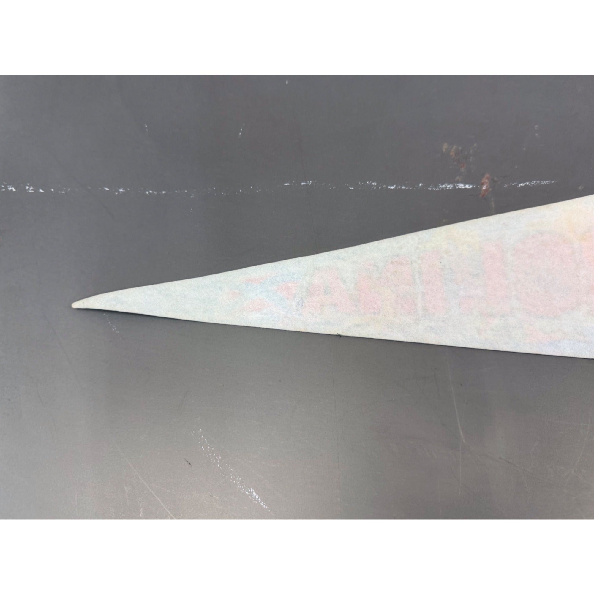 Vintage South Carolina state pennant