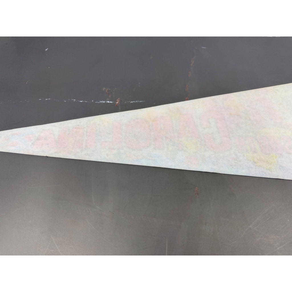 Vintage South Carolina state pennant
