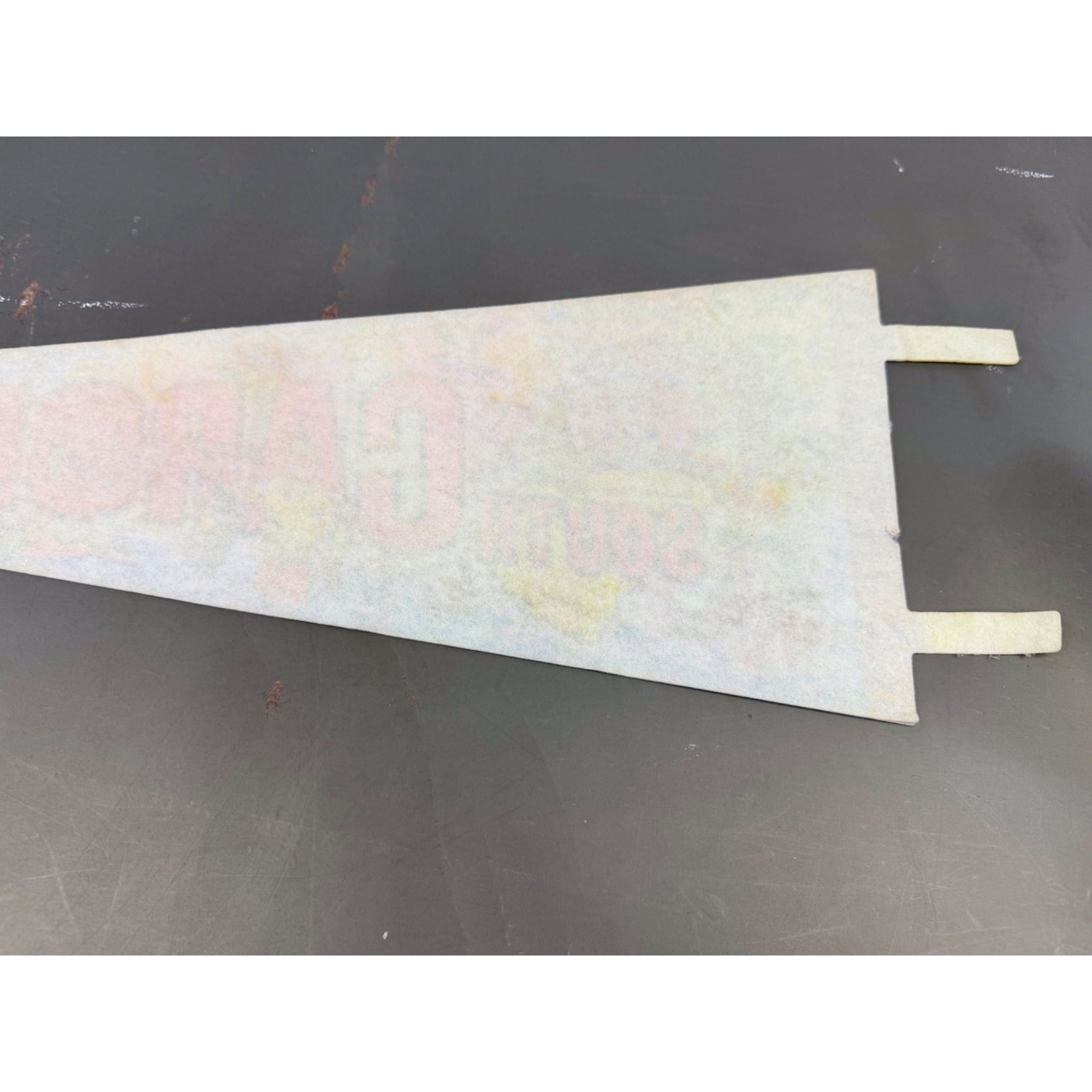 Vintage South Carolina state pennant