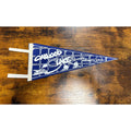 Vintage Oakwood Lake pennant