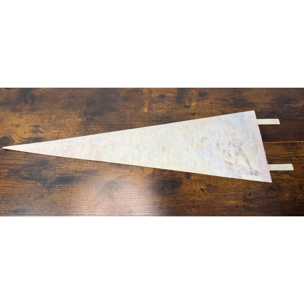 The Alamo Vintage Felt Pennant San Antonio Texas Souvenir 25 inches