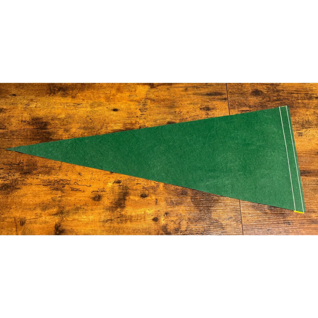 Vintage NFL Green Bay Packers pennant