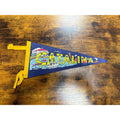 Vintage Catalina pennant