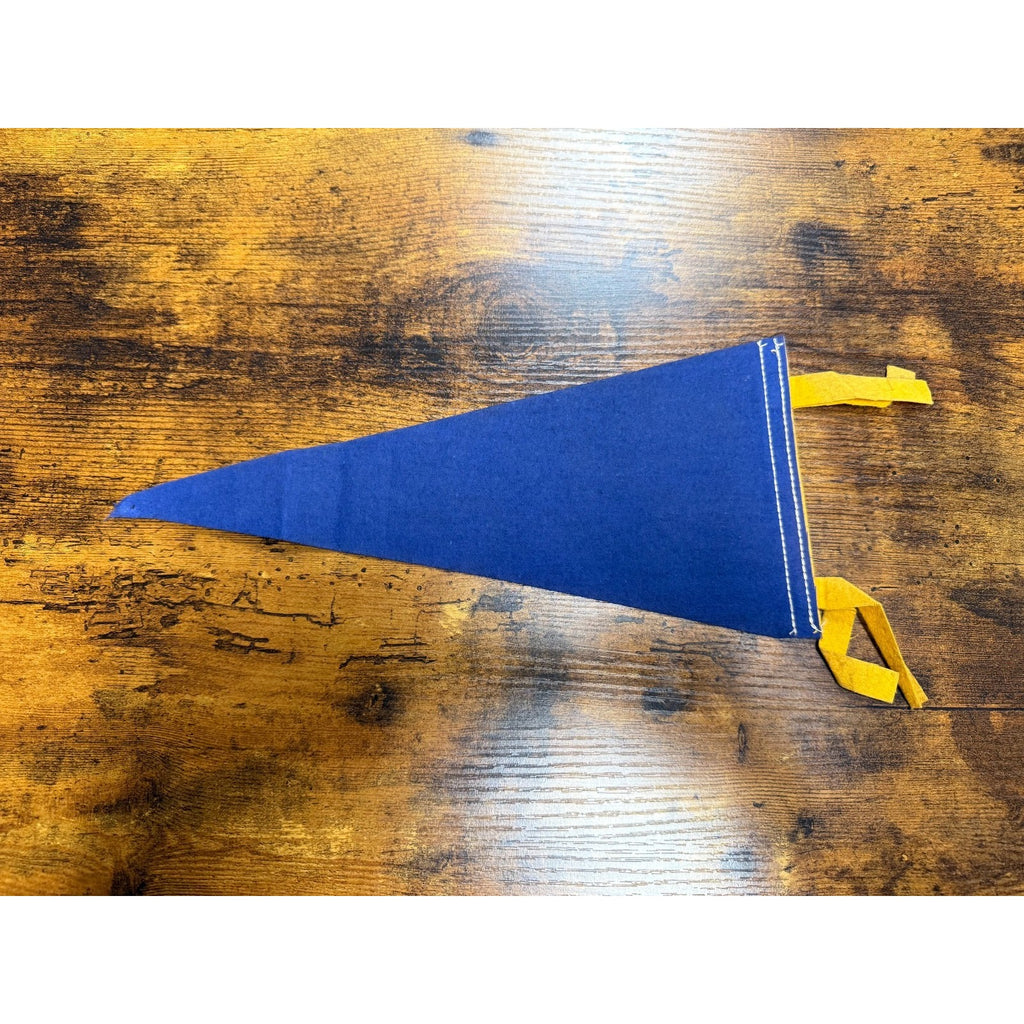 Vintage Catalina pennant