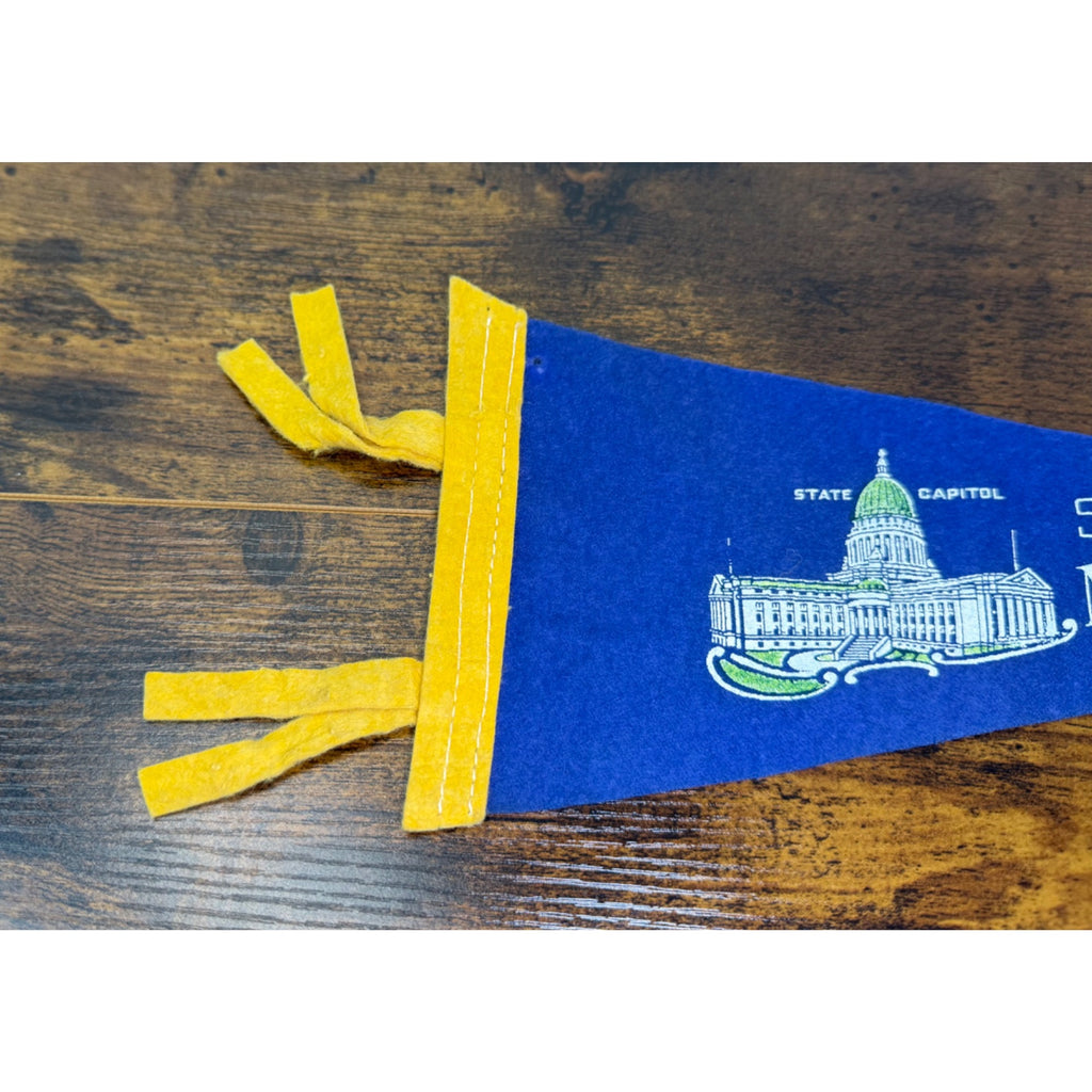 Vintage Madison WI State Capitol Felt Pennant Banner Souvenir