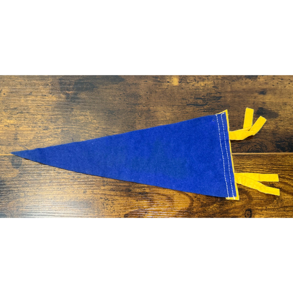 Vintage Madison WI State Capitol Felt Pennant Banner Souvenir