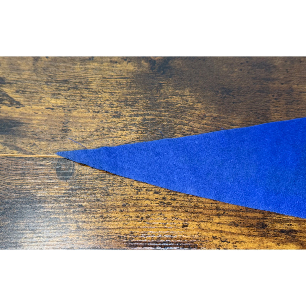 Vintage Madison WI State Capitol Felt Pennant Banner Souvenir