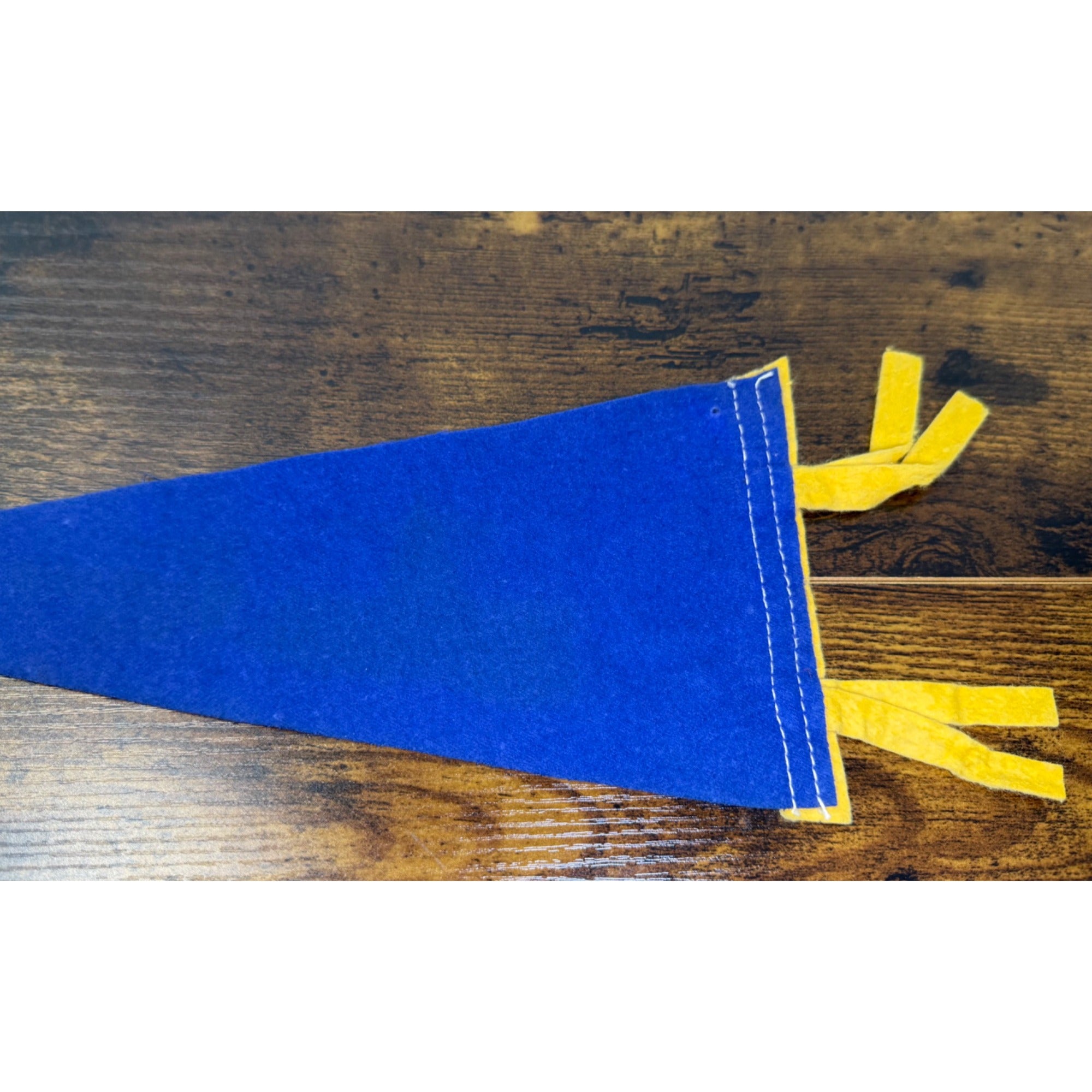 Vintage Madison WI State Capitol Felt Pennant Banner Souvenir