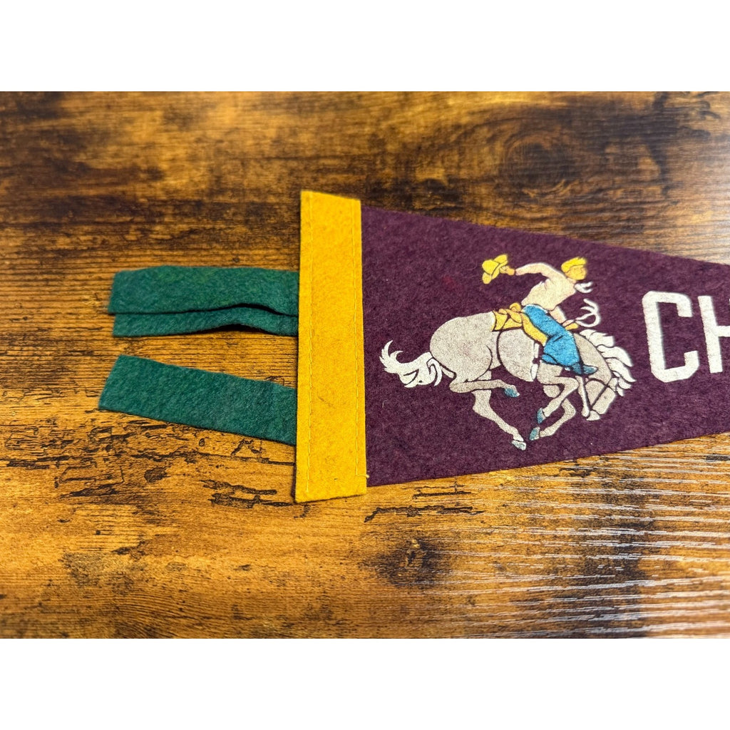 Vintage Cheyenne, Wyo. pennant