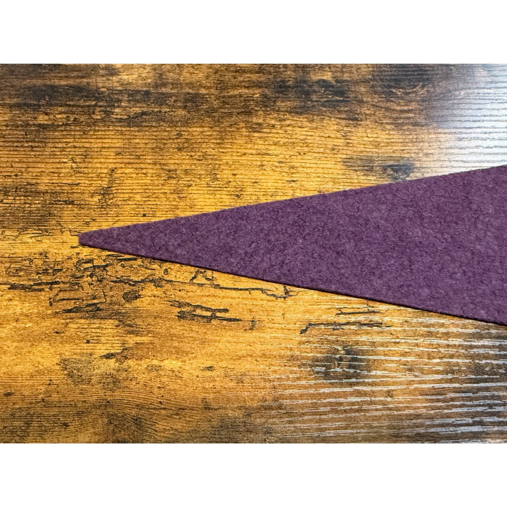 Vintage Cheyenne, Wyo. pennant