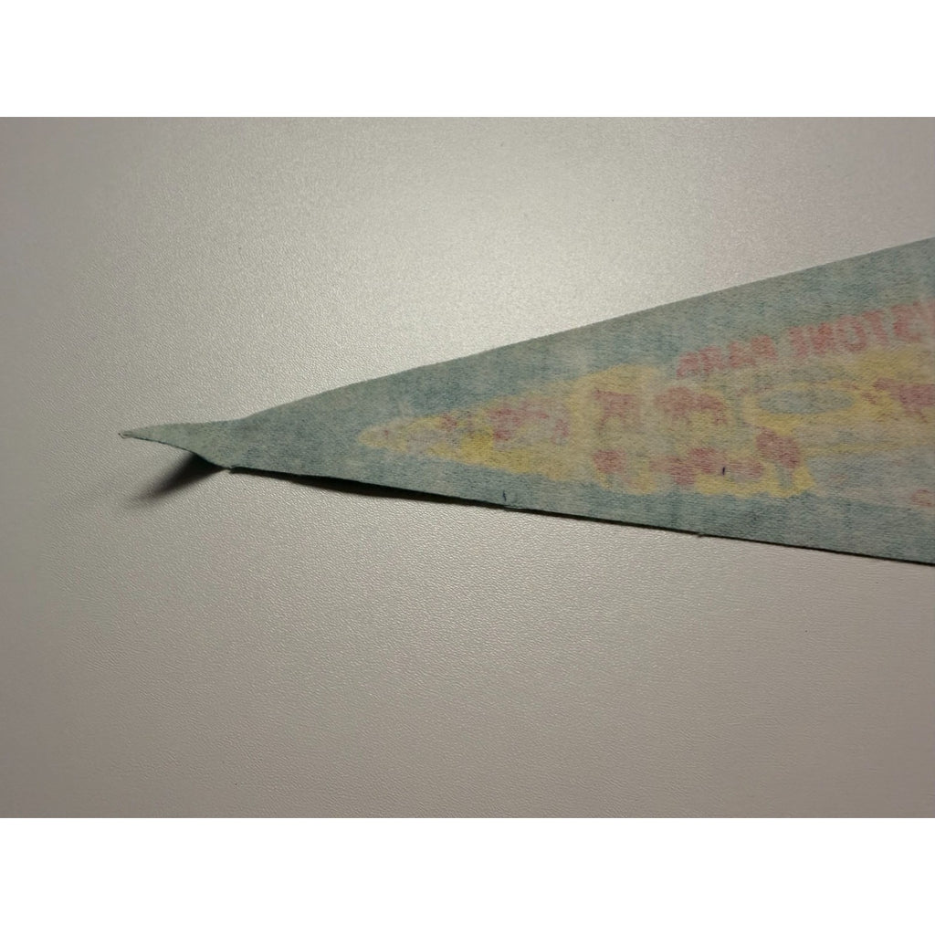 Vintage Yellowstone Park pennant