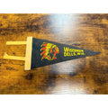 Vintage Wisconsin Dells, Wisconsin mini pennant
