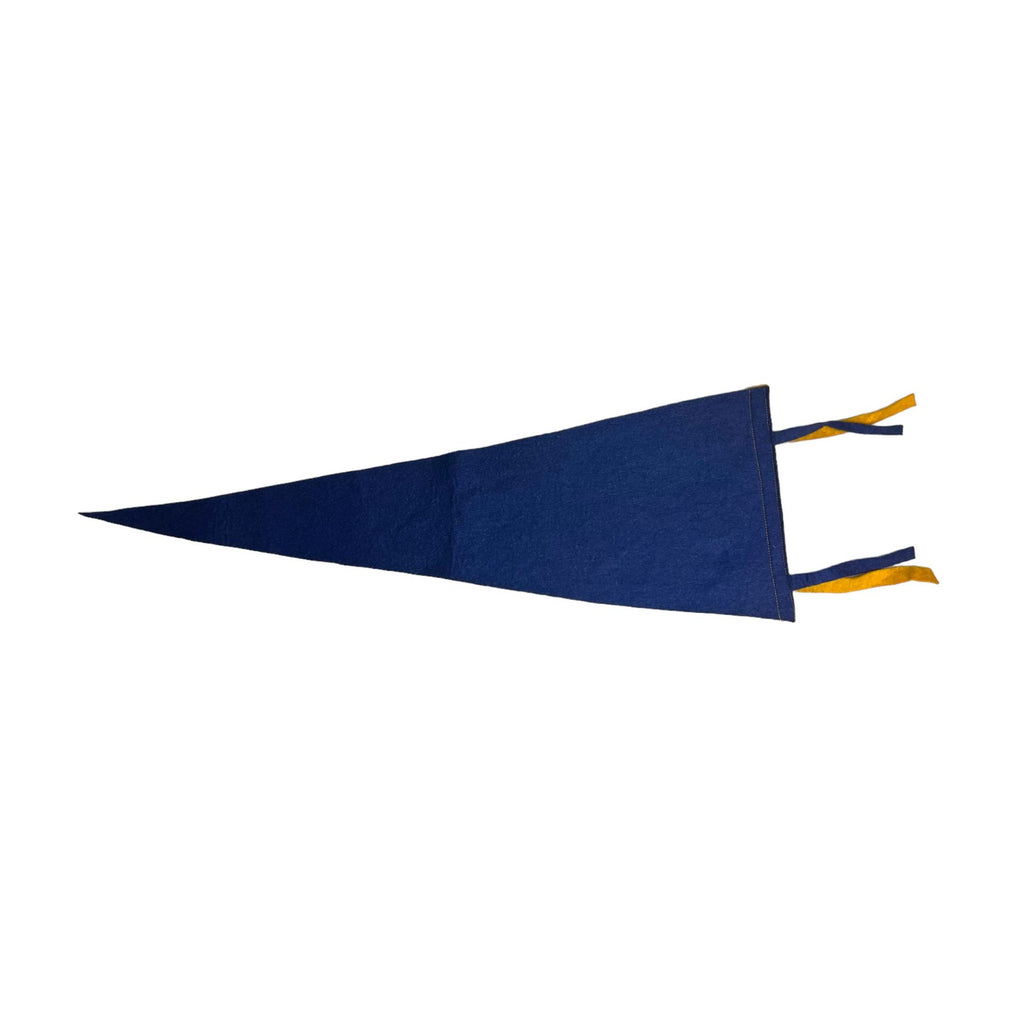 Vintage Niagara Falls, Canada pennant