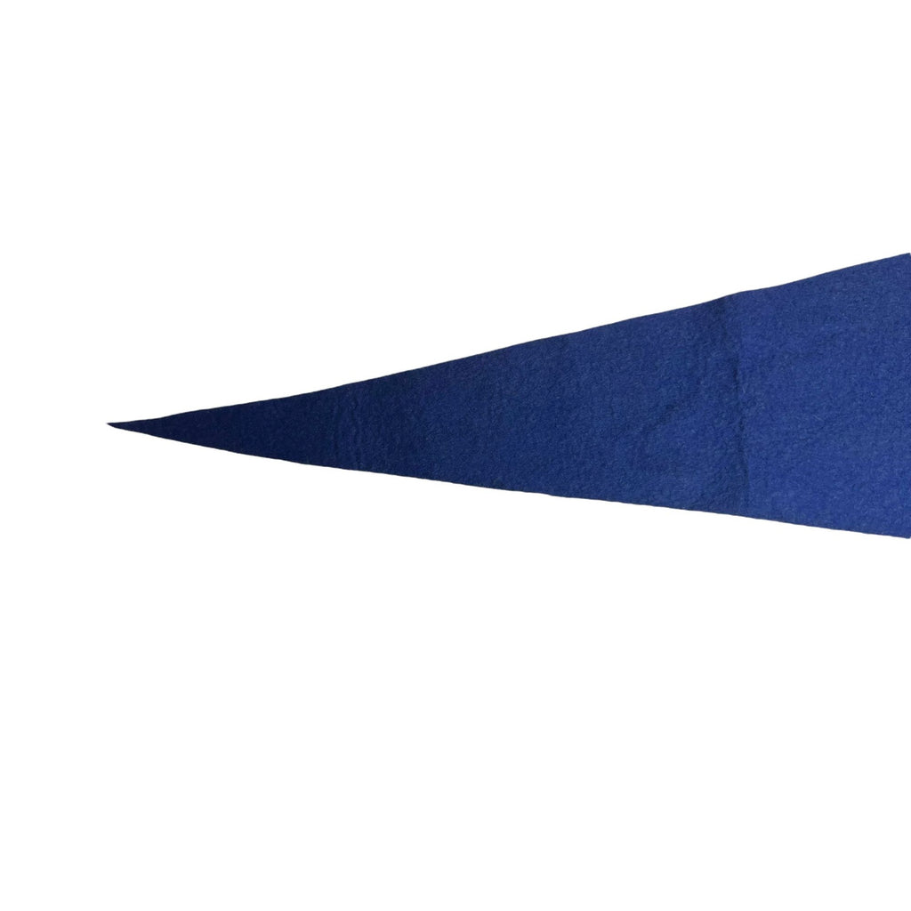 Vintage Niagara Falls, Canada pennant