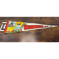 Washington D.C. Souvenir Felt Pennant With Landmarks & Cherry Blossoms