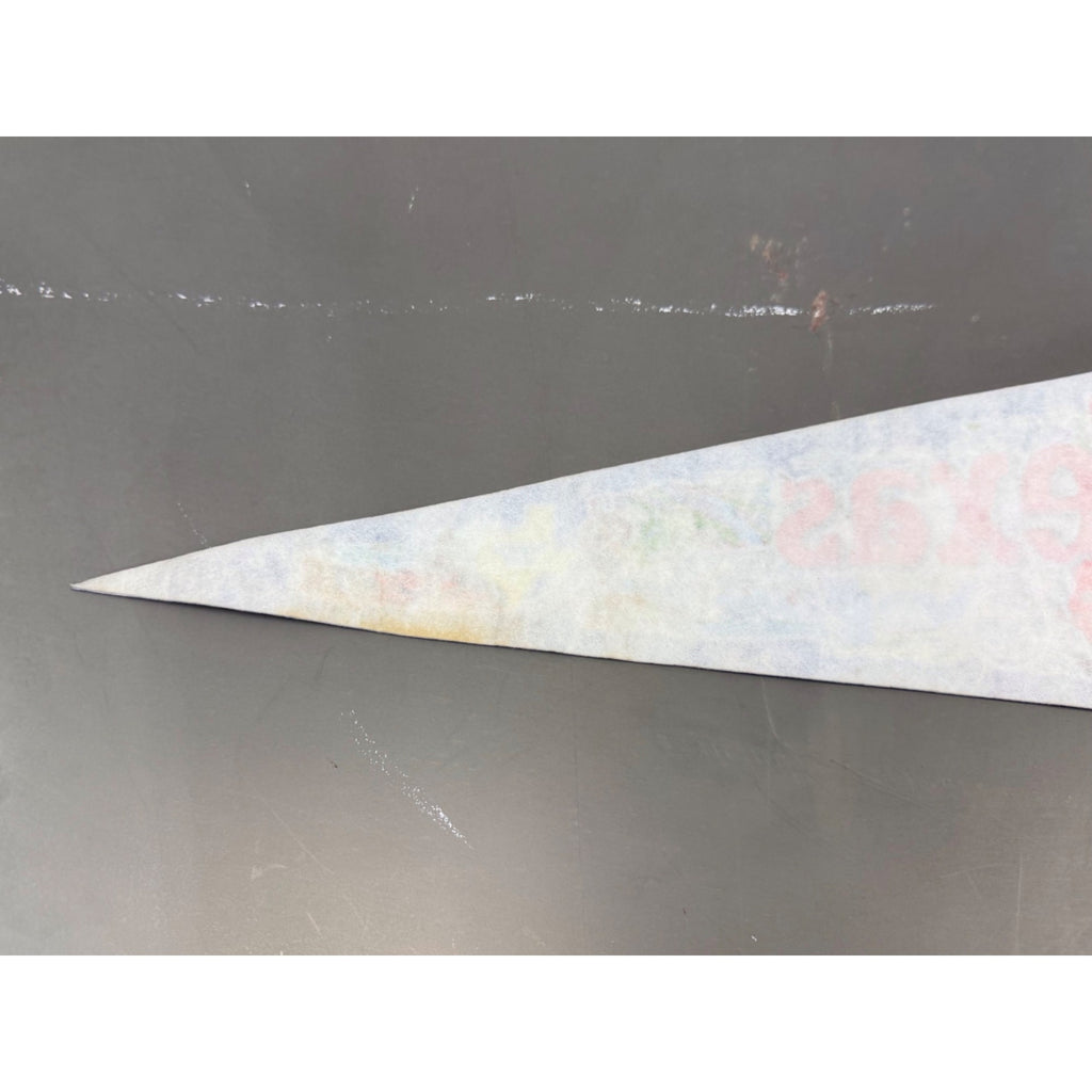Vintage Texas State pennant