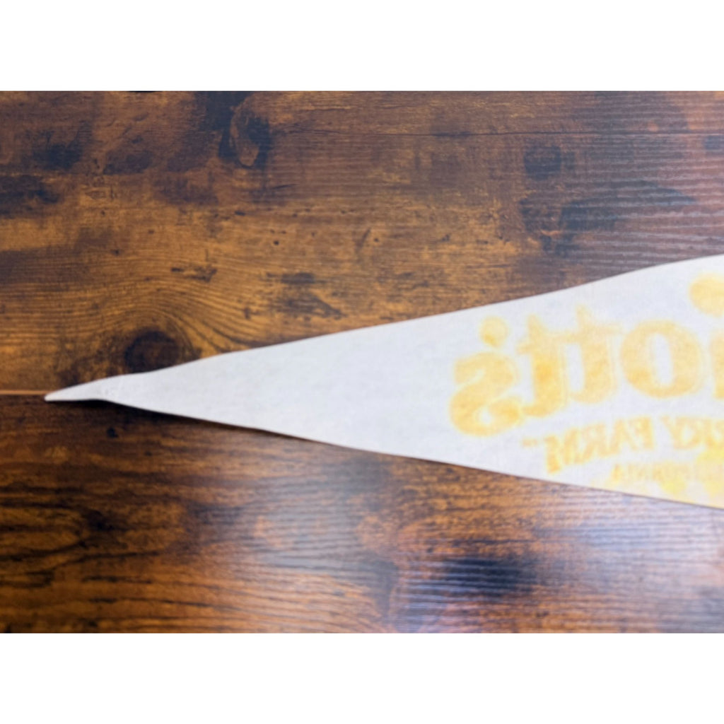 Vintage Collector's Series Knott's Berry Farm, California Pennant 29.5 inches