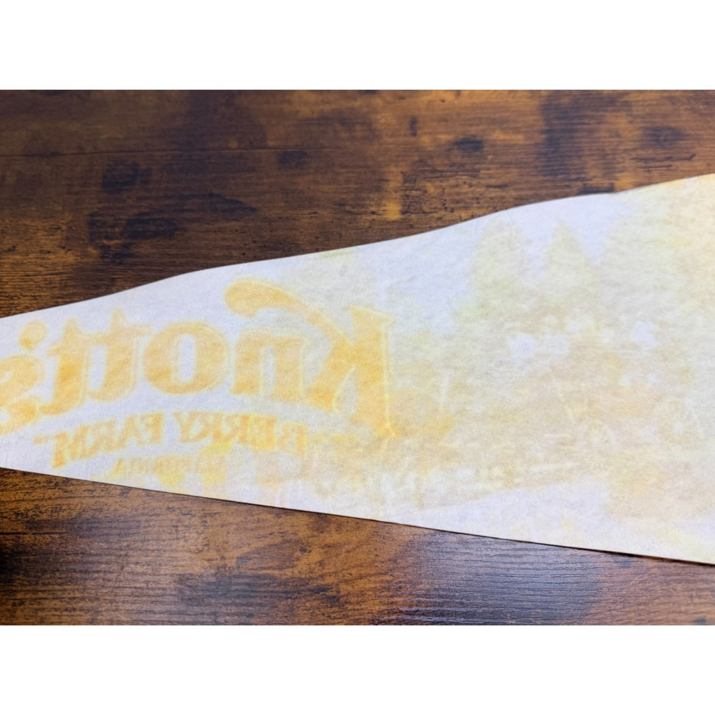 Vintage Collector's Series Knott's Berry Farm, California Pennant 29.5 inches