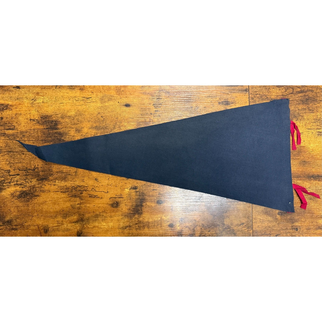Vintage Arizona The Grand Canyon State pennant