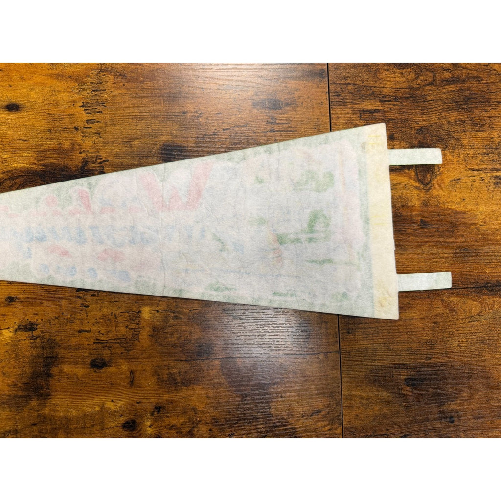 Vintage Washington D.C. pennant