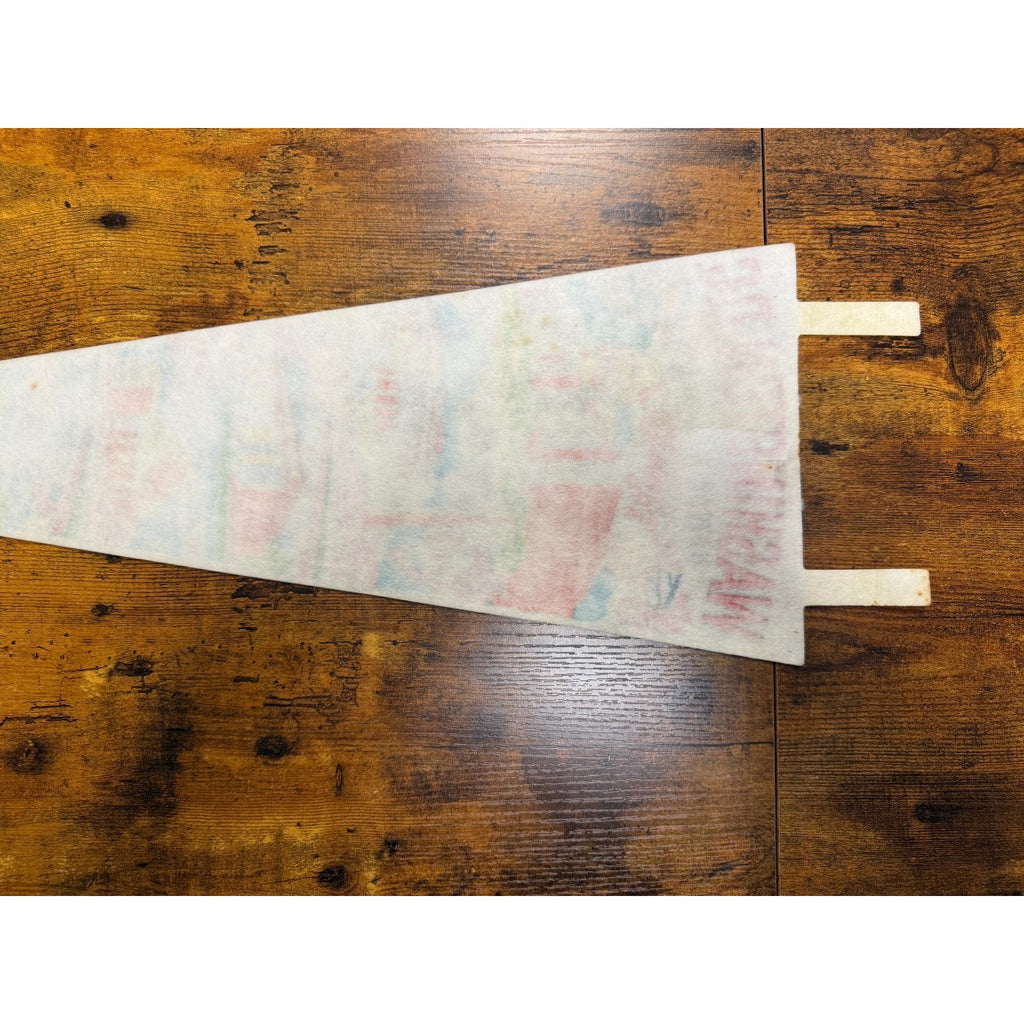 Vintage Washington D.C. pennant vertical