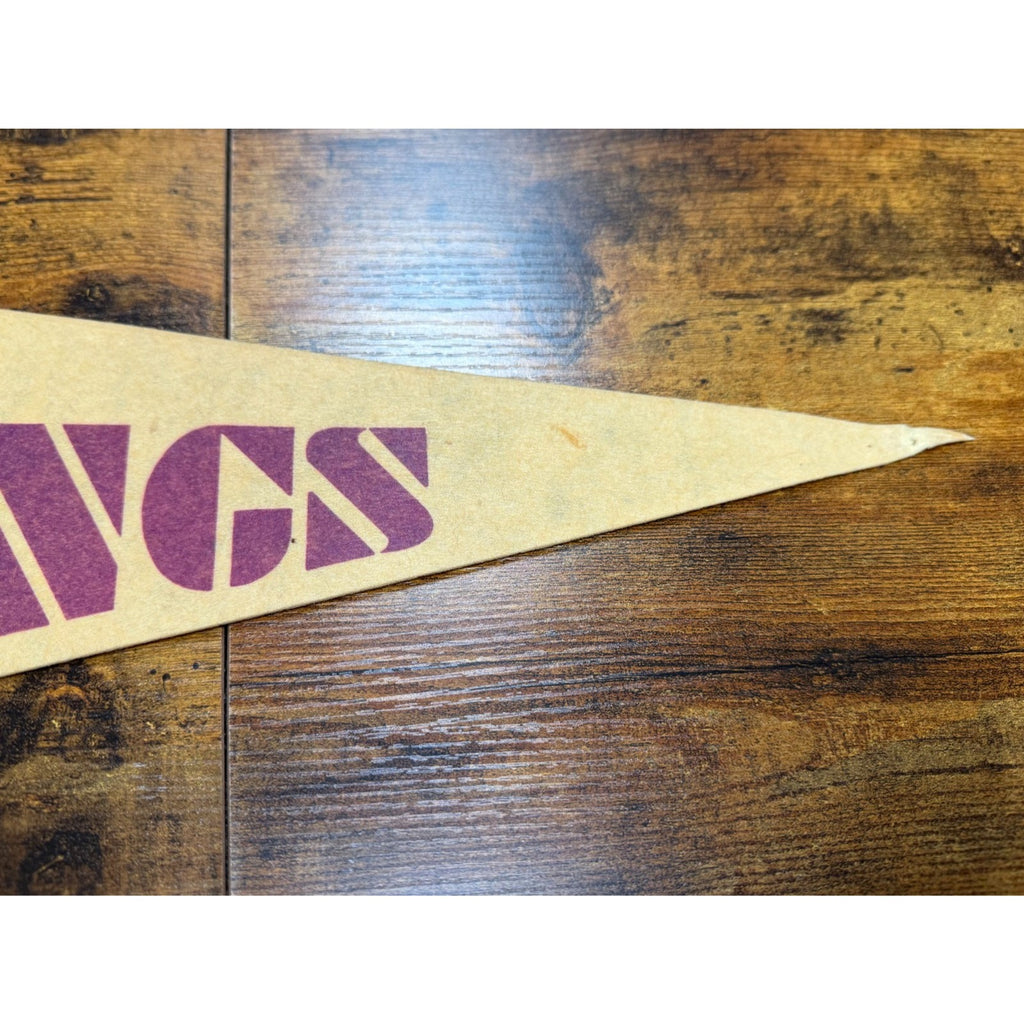 Vintage NFL Minnesota Vikings pennant stained