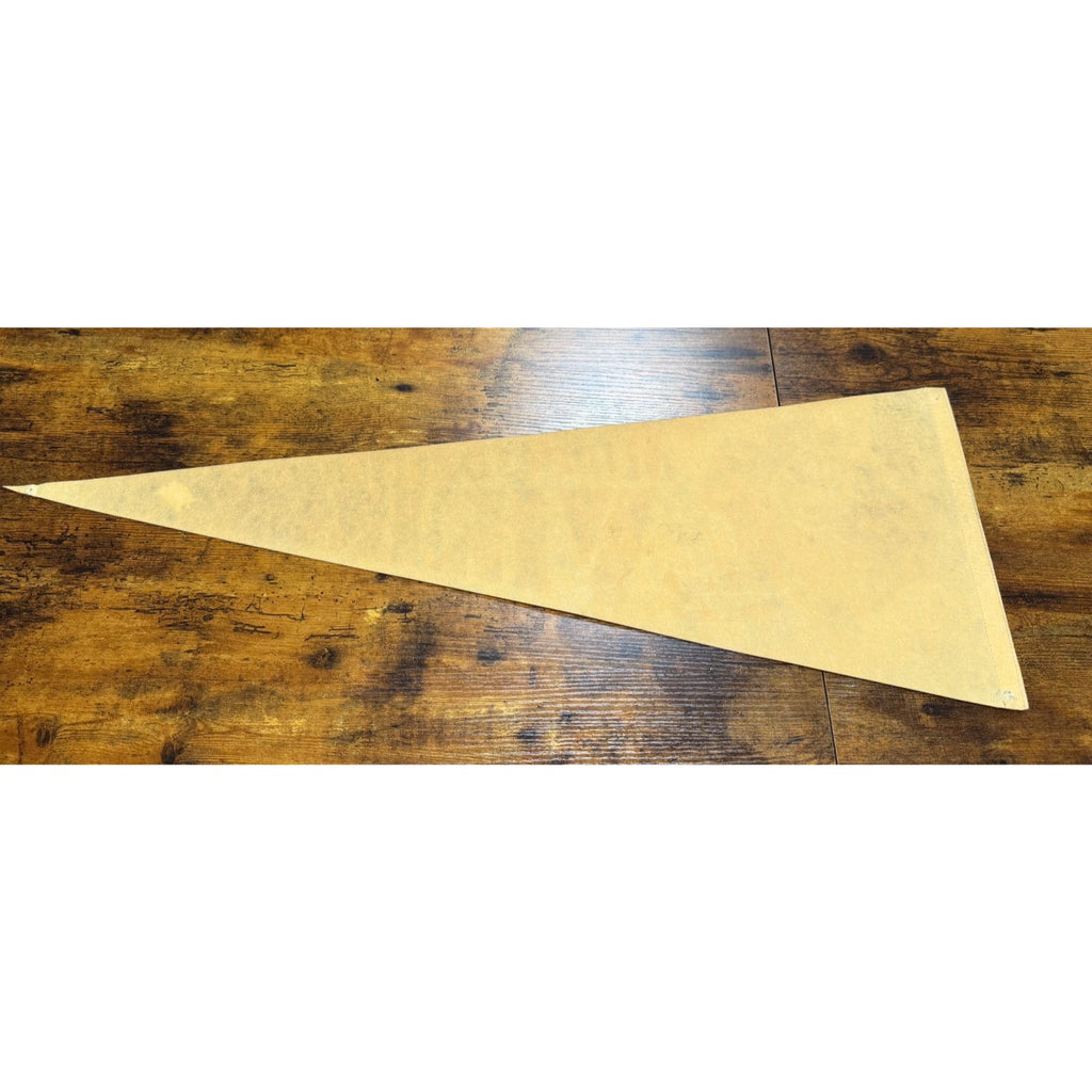 Vintage NFL Minnesota Vikings pennant stained