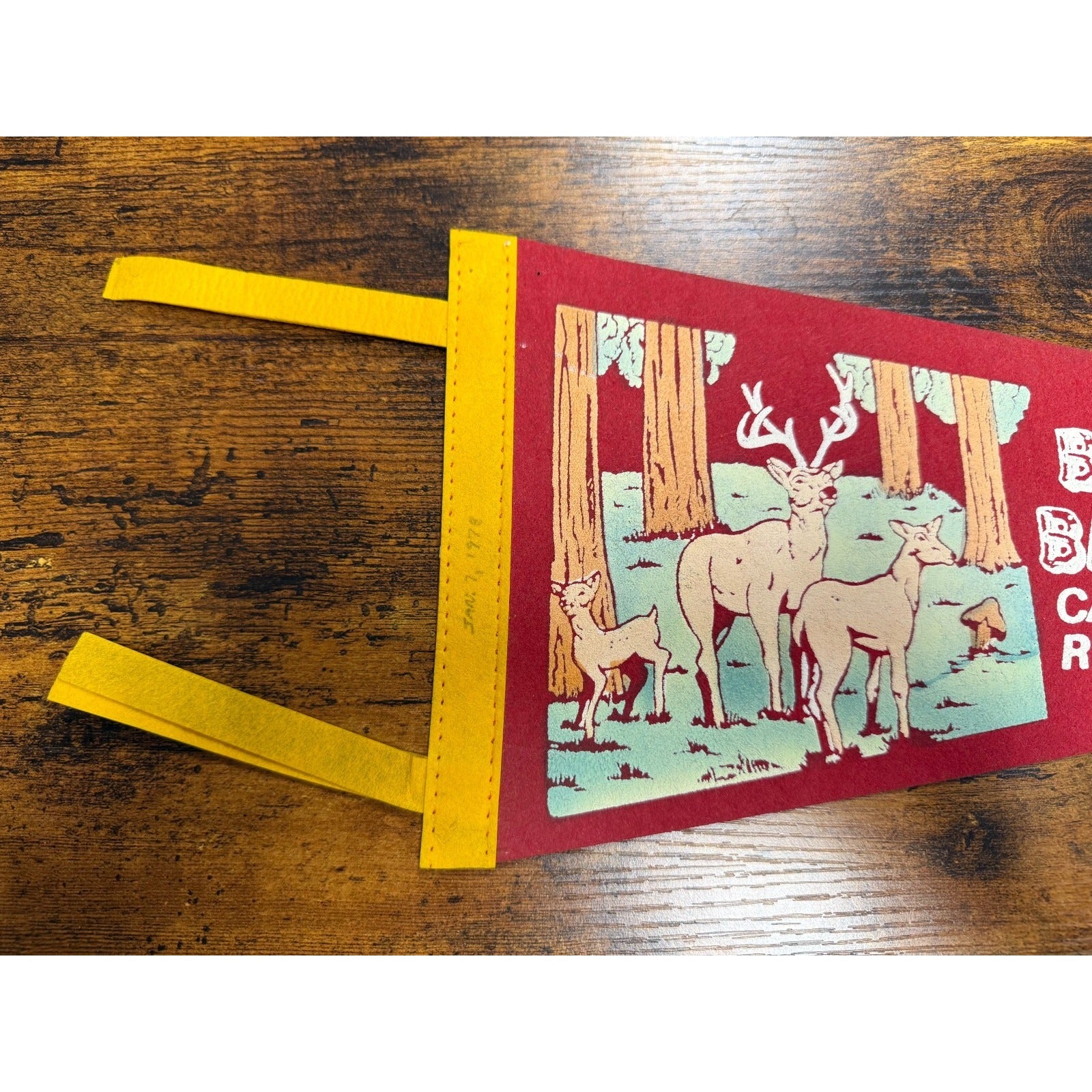 Vintage Big Basin State Park California Redwoods pennant