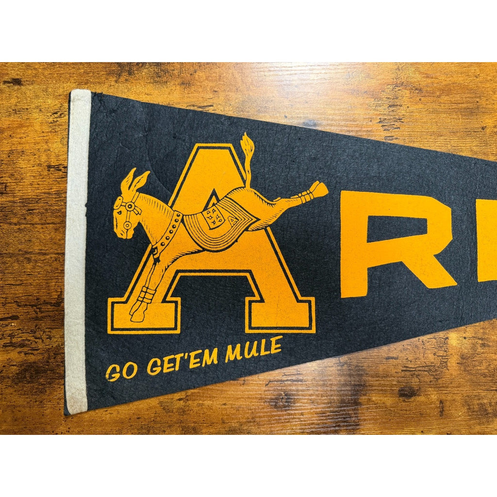 Vintage Army "Go Get 'em Mule" pennant