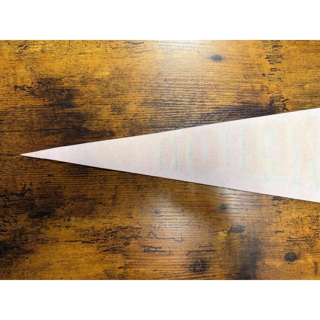 Vintage Oregon State pennant "the Beaver State"
