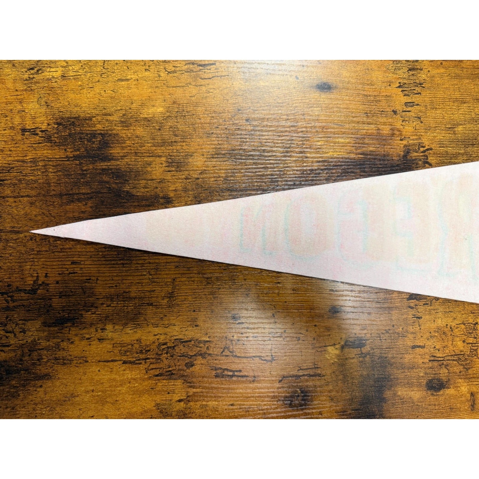 Vintage Oregon State pennant "the Beaver State"