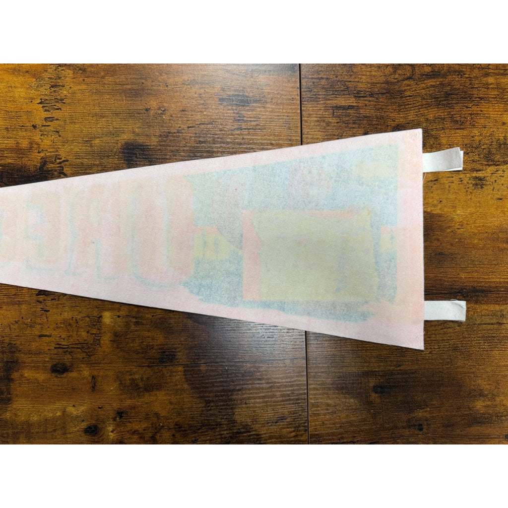 Vintage Oregon State pennant "the Beaver State"